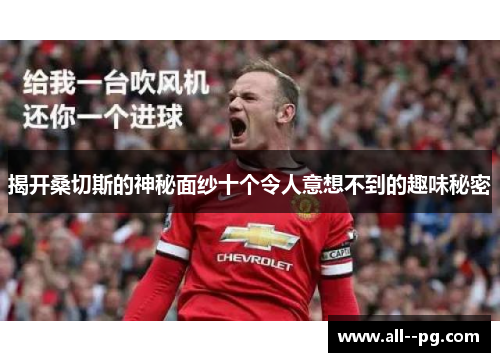 揭开桑切斯的神秘面纱十个令人意想不到的趣味秘密