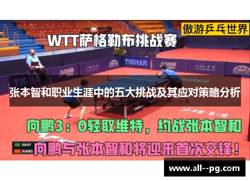 张本智和职业生涯中的五大挑战及其应对策略分析