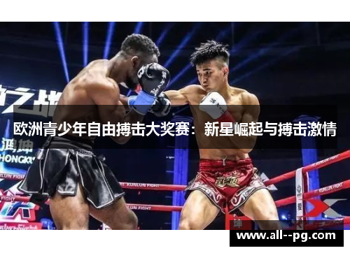 欧洲青少年自由搏击大奖赛：新星崛起与搏击激情